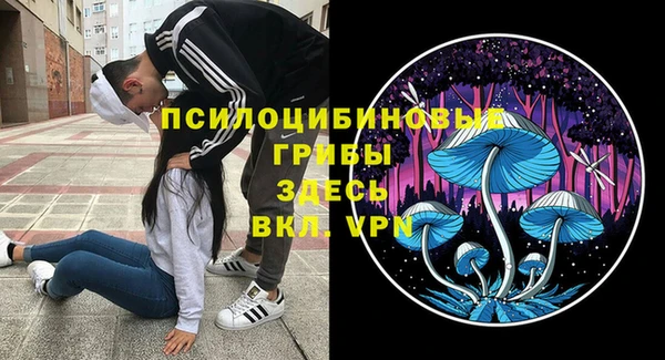 бутират Арсеньев