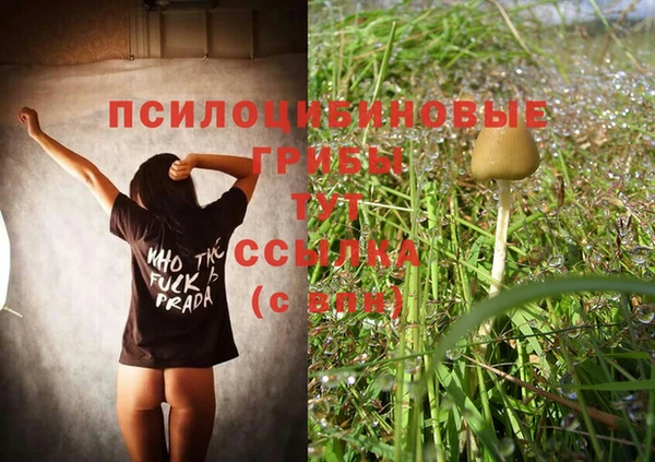 ПСИЛОЦИБИНОВЫЕ ГРИБЫ Аркадак