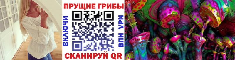 хочу наркоту  Череповец  OMG вход  Псилоцибиновые грибы Psilocybine cubensis 